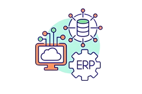 Software & ERP